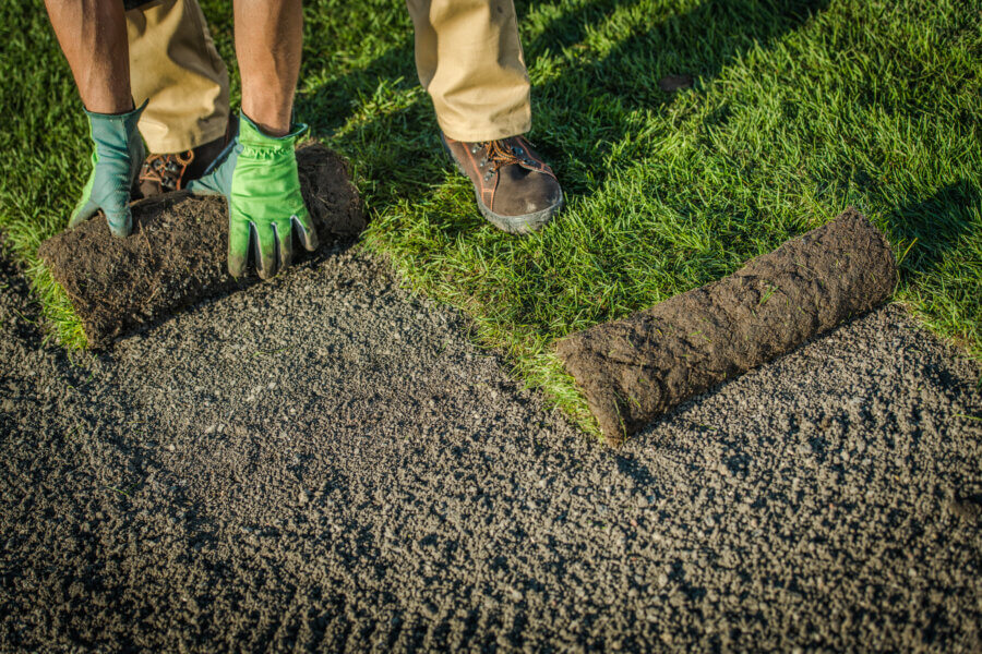 Landscape Restoration & Property Upgrades