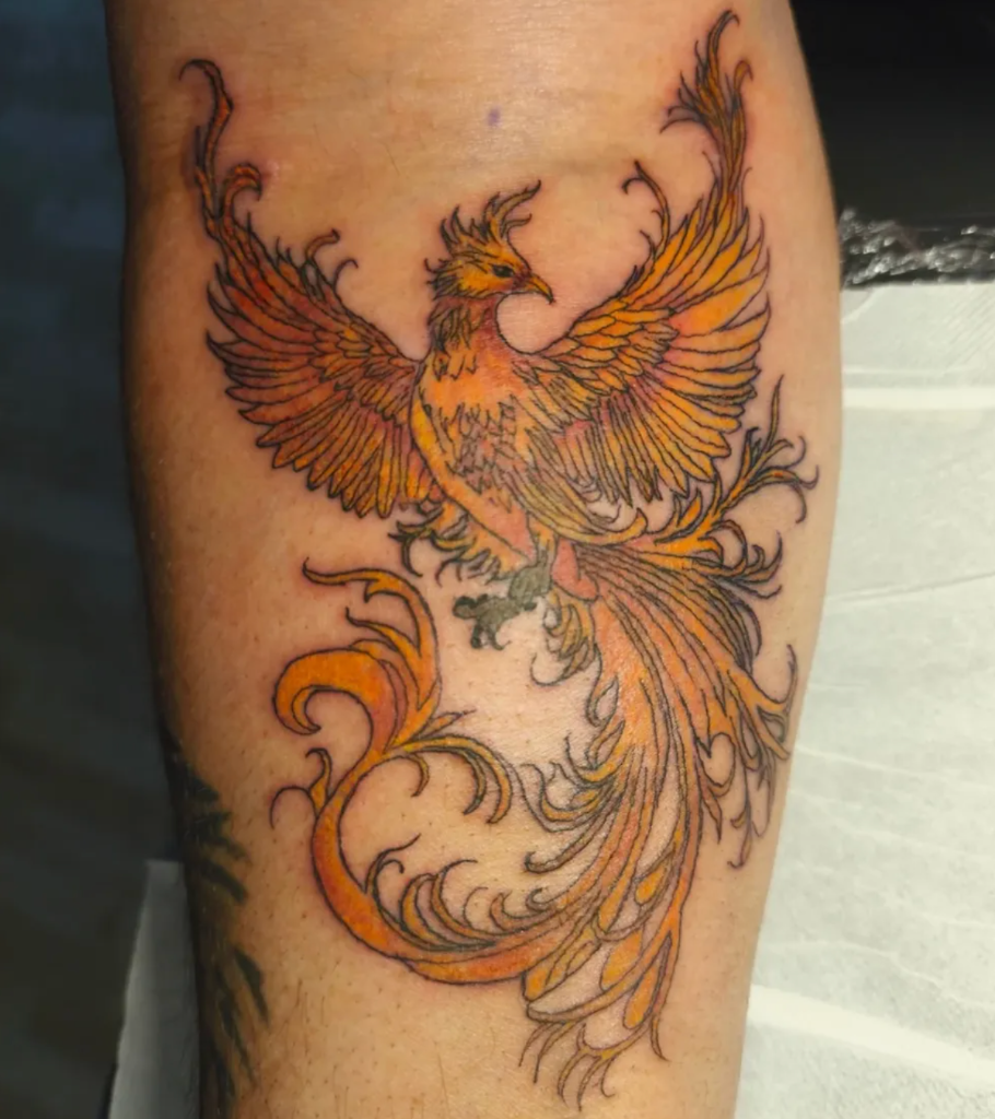 Phoenix Coloré