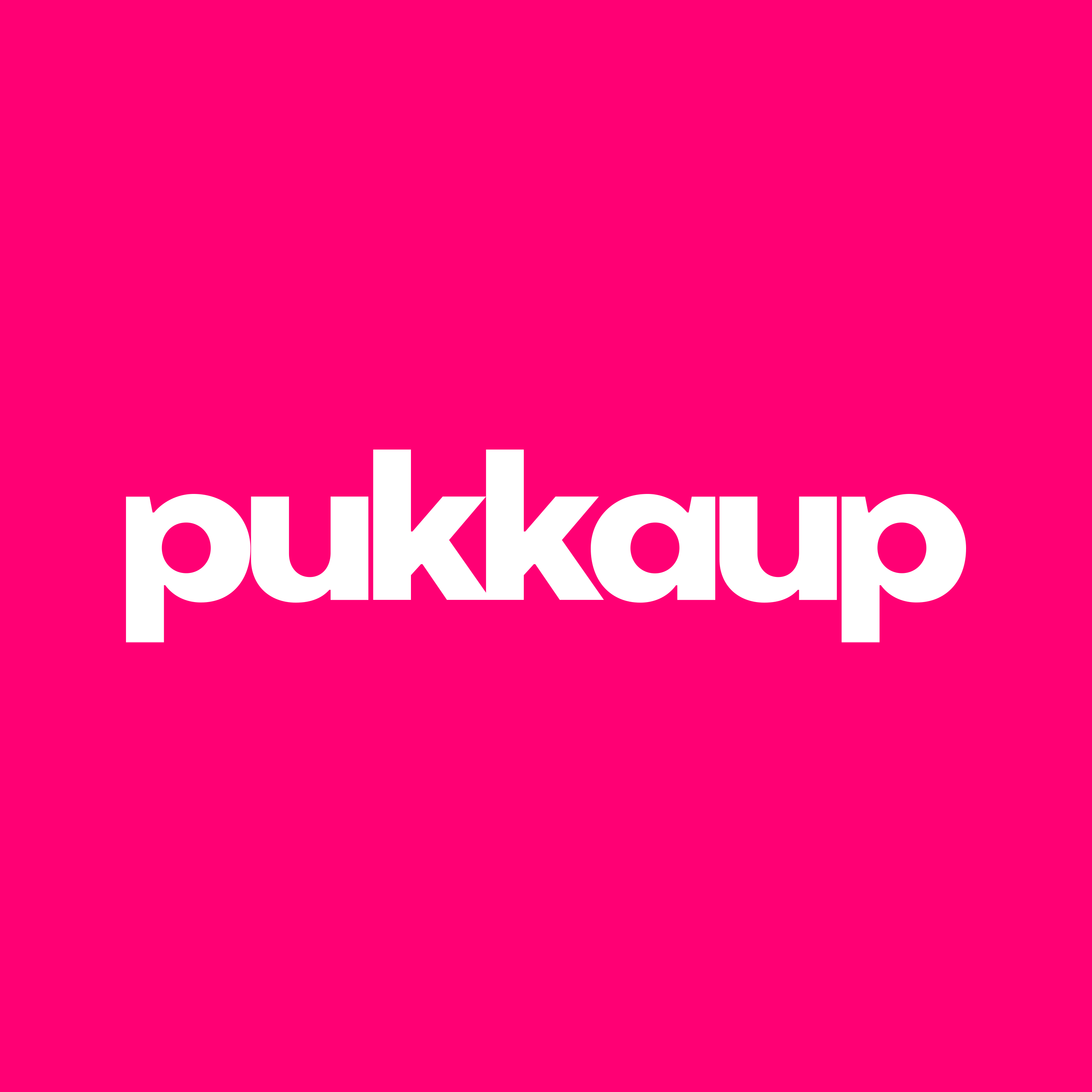 Pukka Up - Global Boat & Pool Parties logo