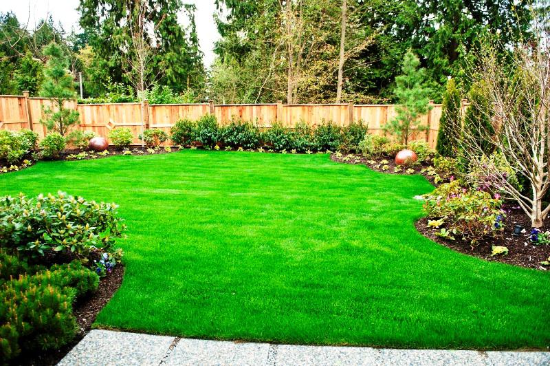 Enjoy a Clean Yard