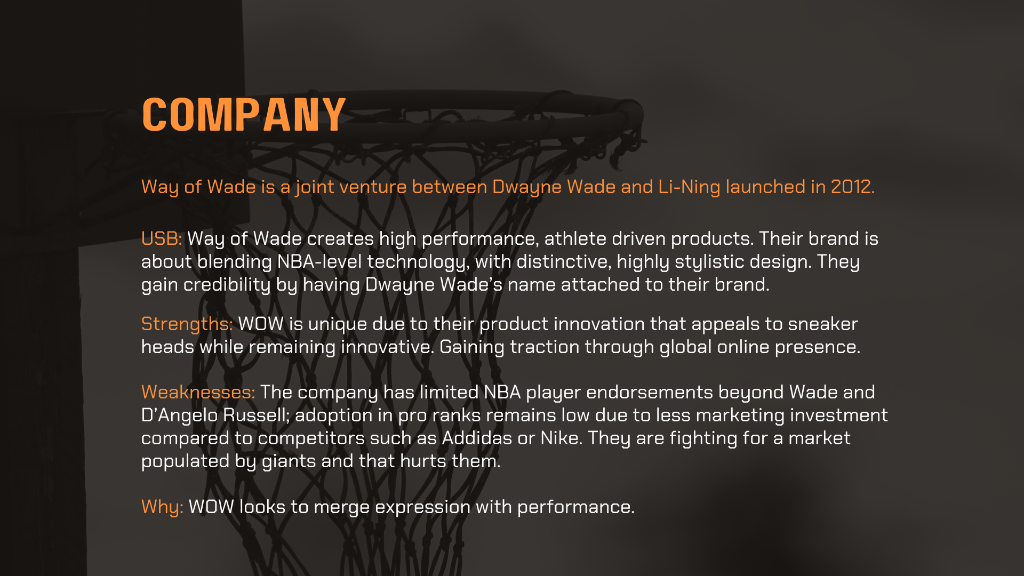 Company Analysis
