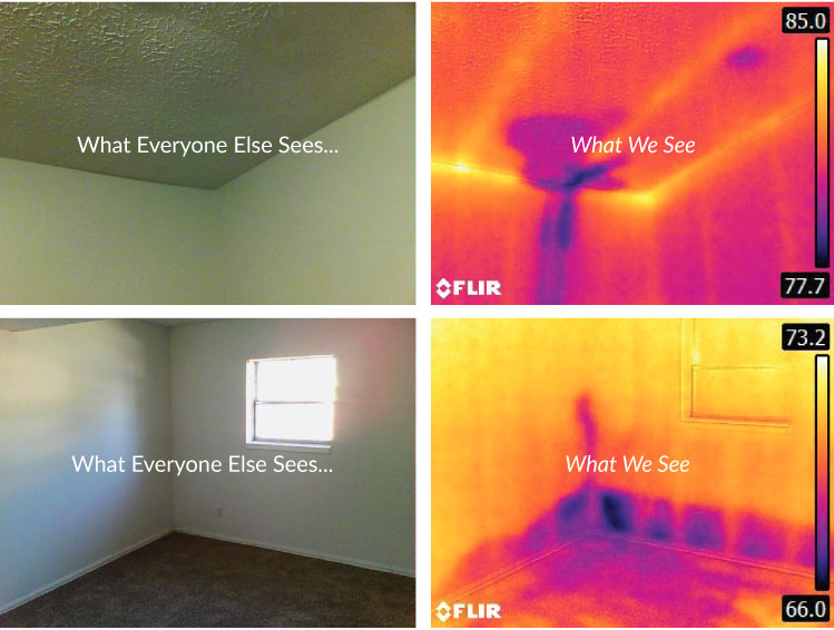 Thermal imaging comparison - what everyone else sees vs what we see