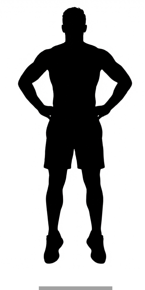 Vertical Jump