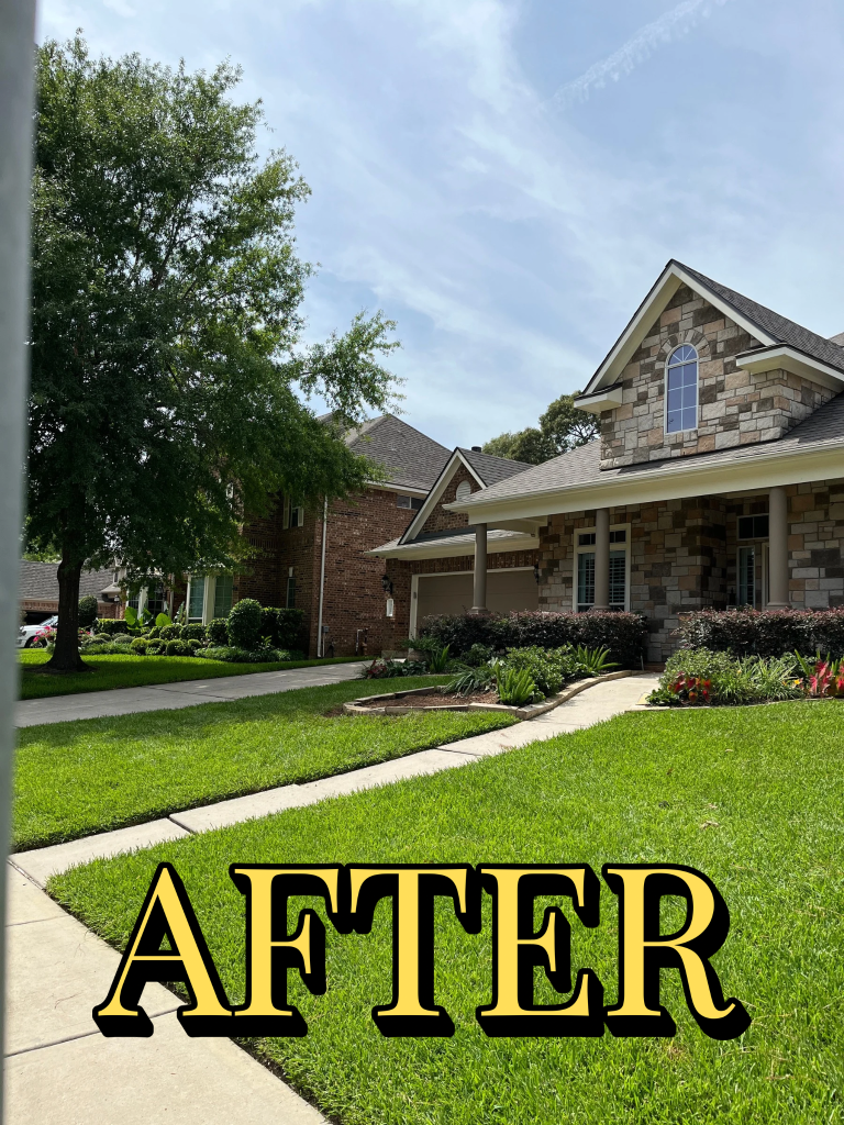 Tree removal job After
