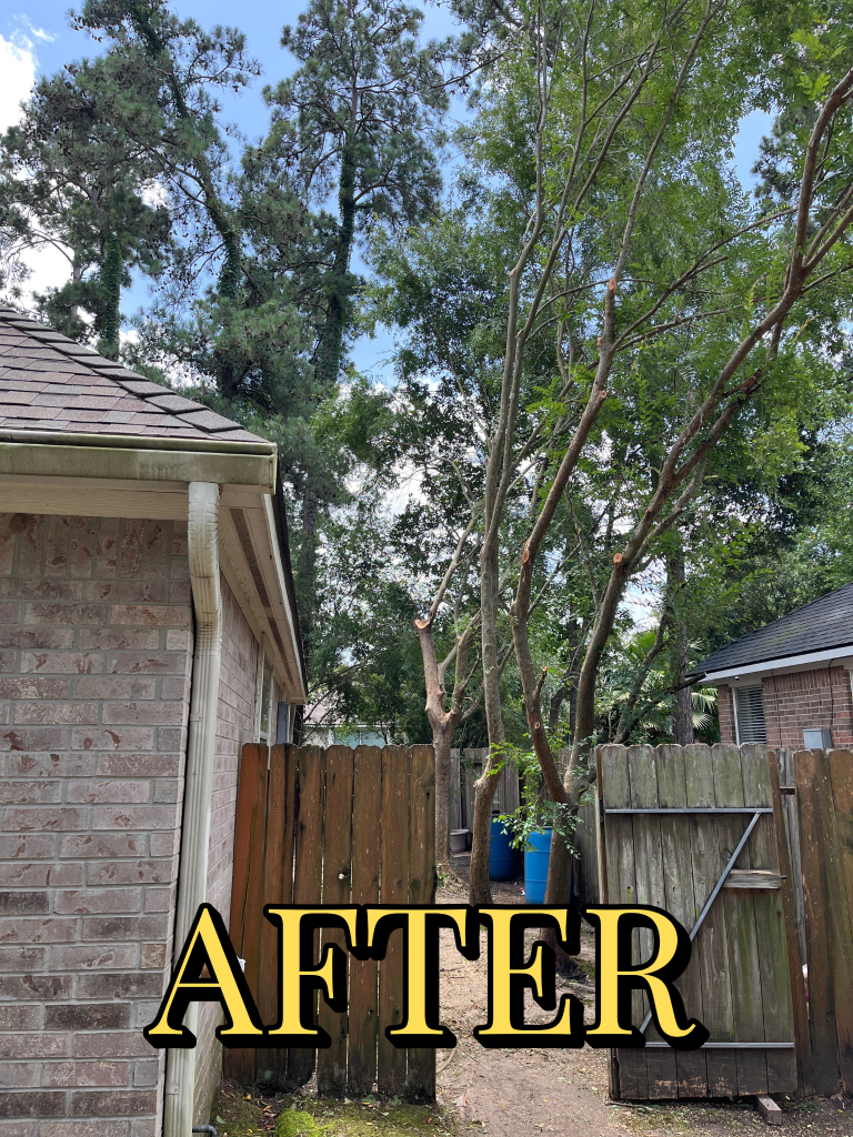 After trimming - Job 3