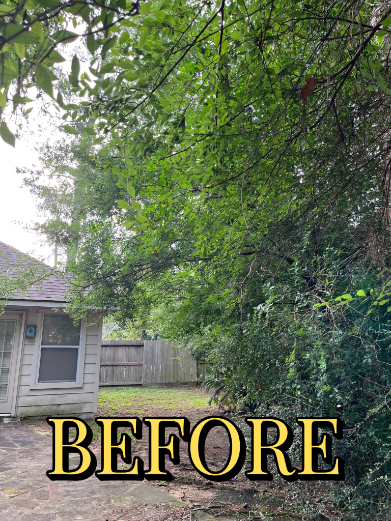 Before trimming - Job 5