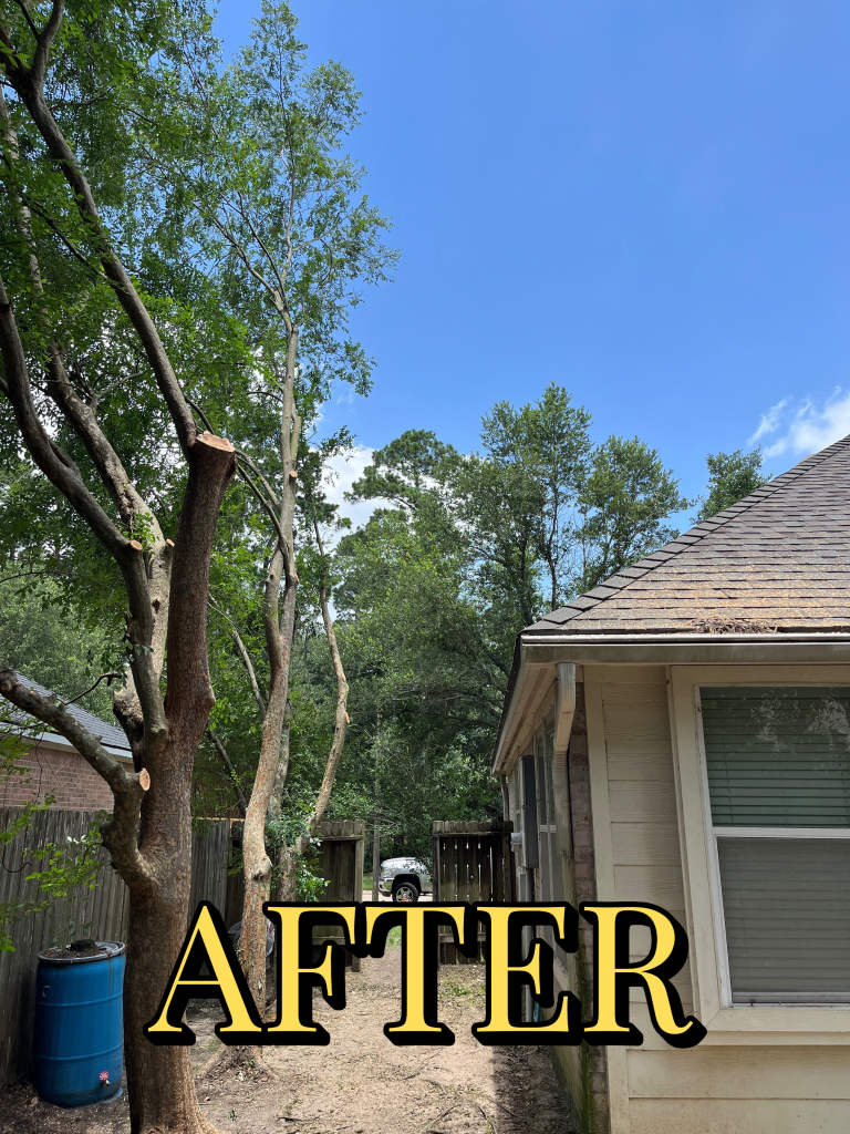 After trimming - Job 4