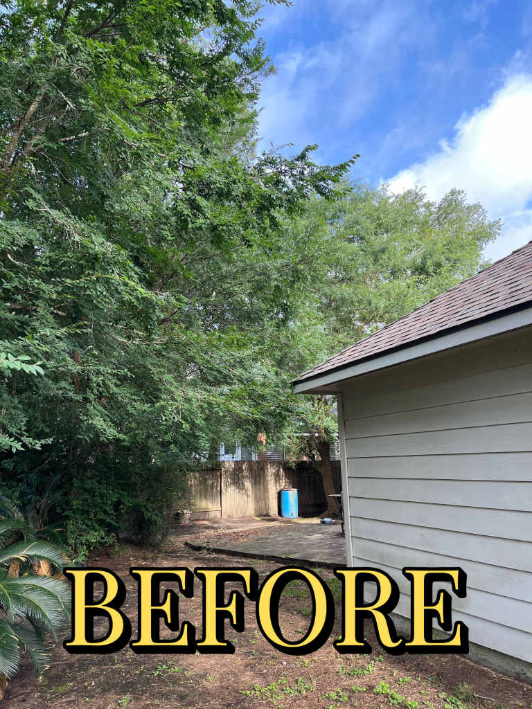 Before trimming - Job 6