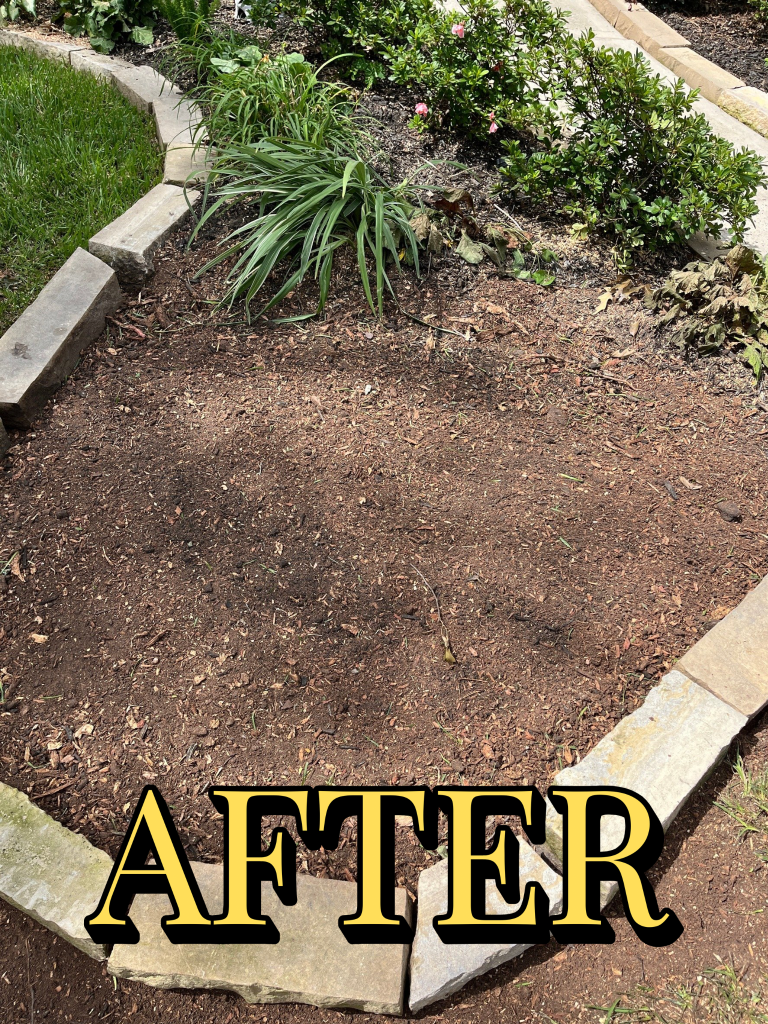 Stump grinding After 1
