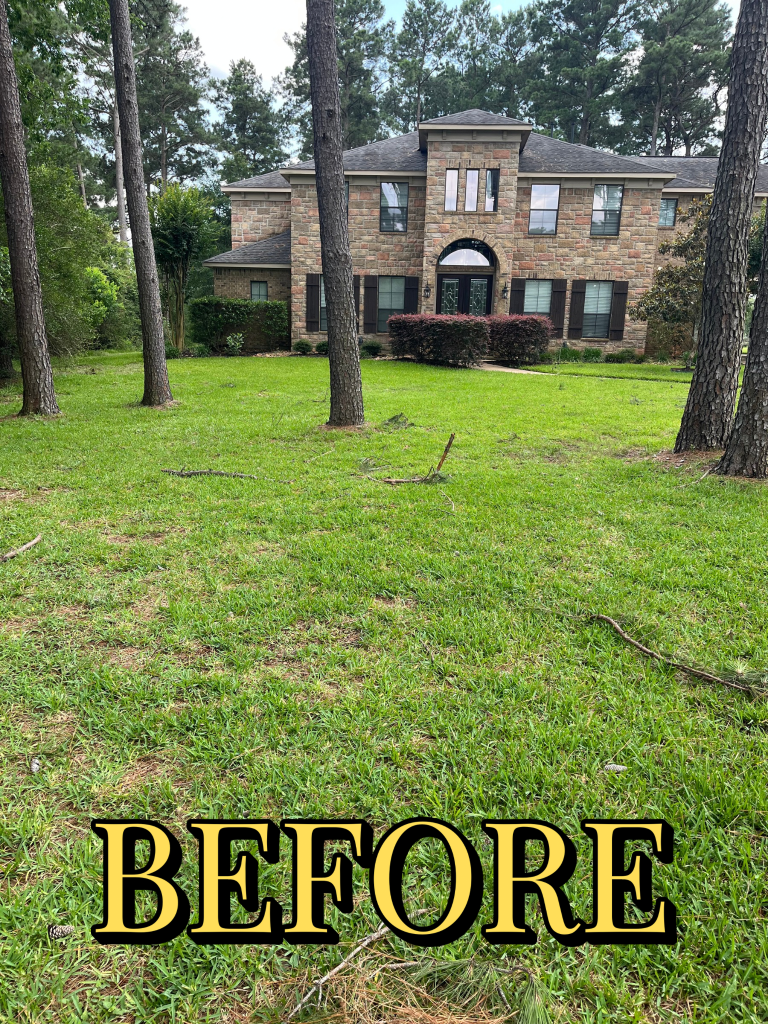 Storm cleanup photo 1