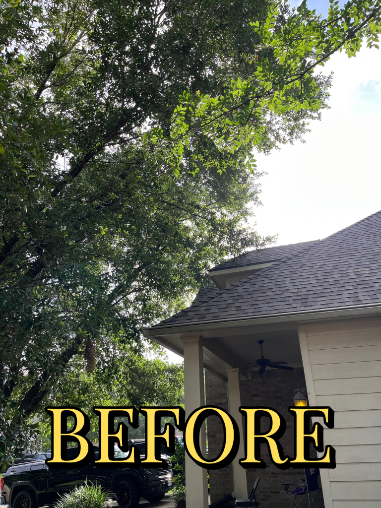 Before trimming - Job 2