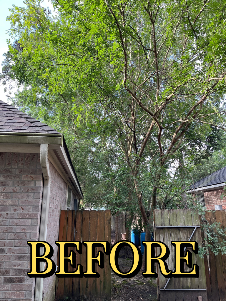 Before trimming - Job 3