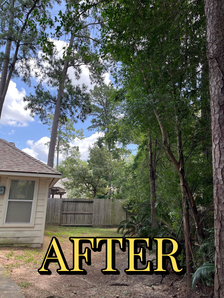 After trimming - Job 5