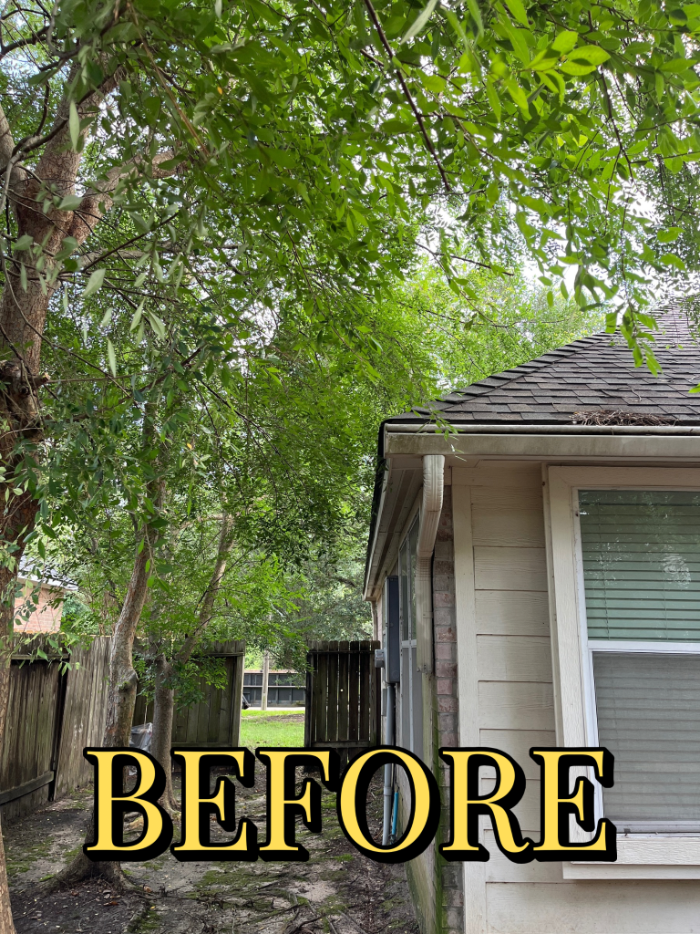 Before trimming - Job 4