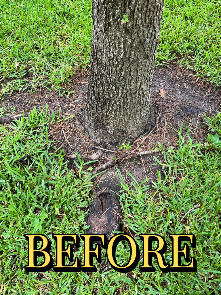 Stump grinding Before 3