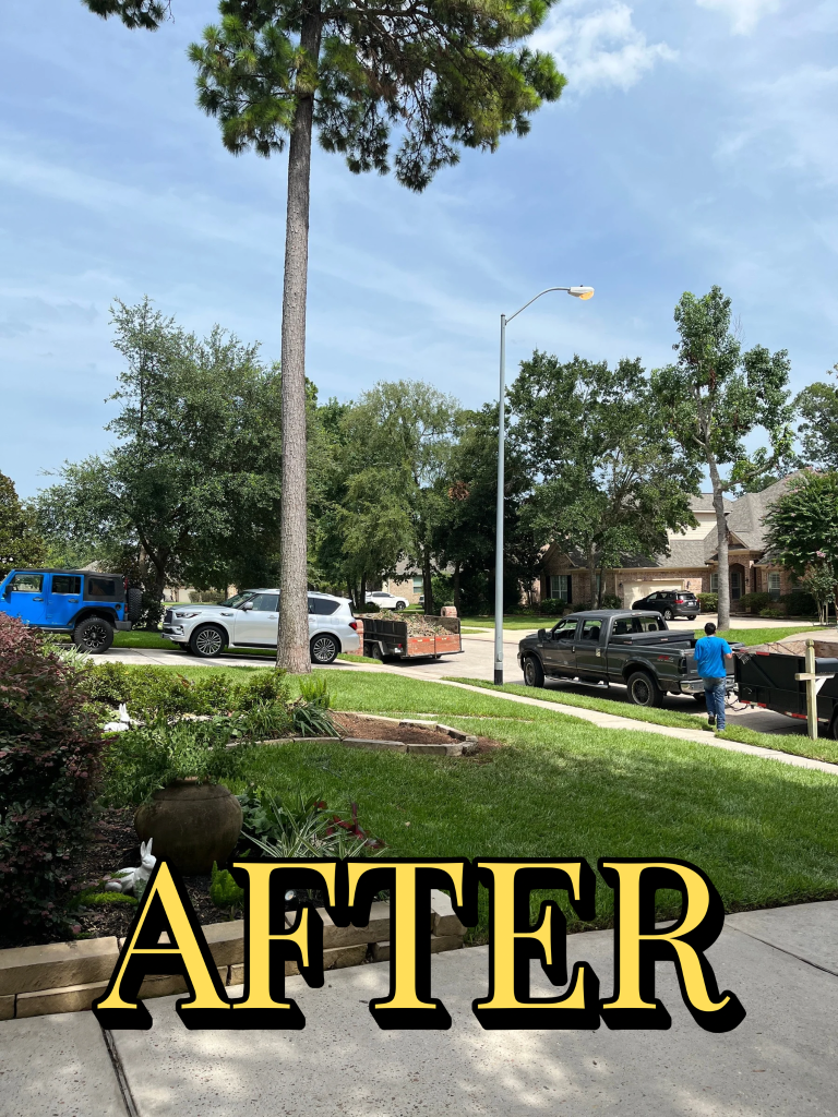 Tree removal job After