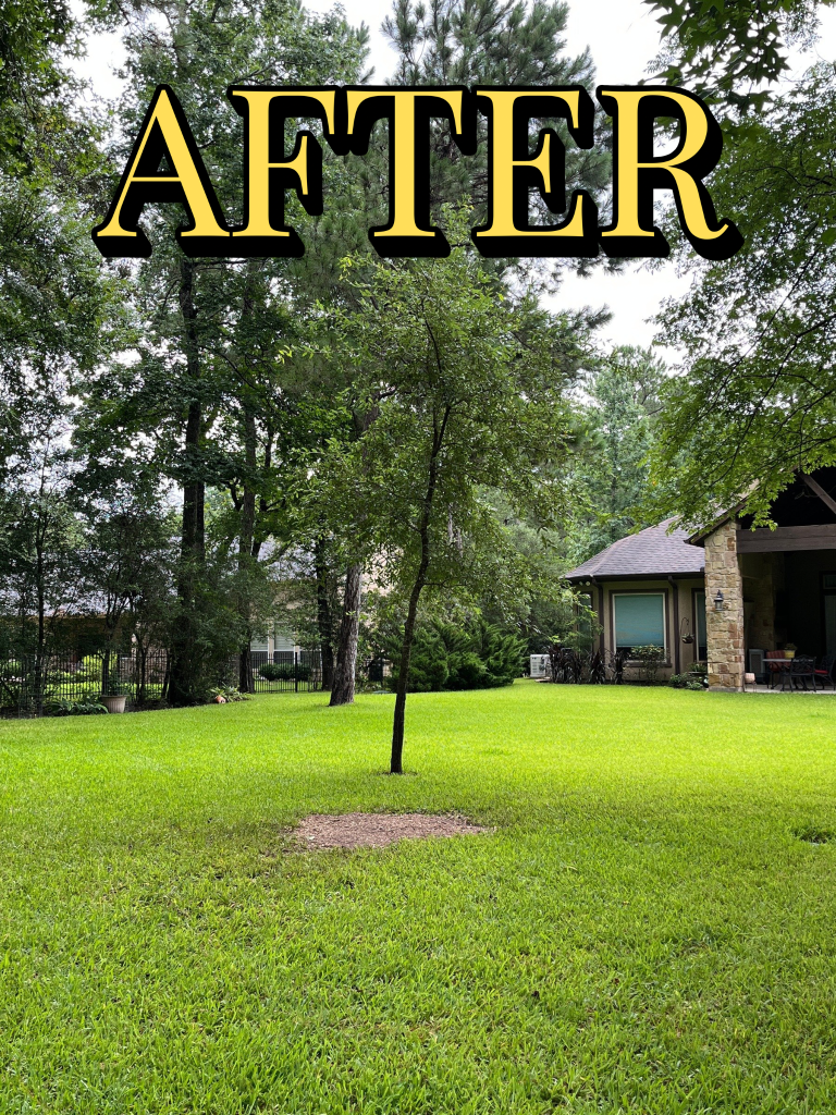 Tree removal job After