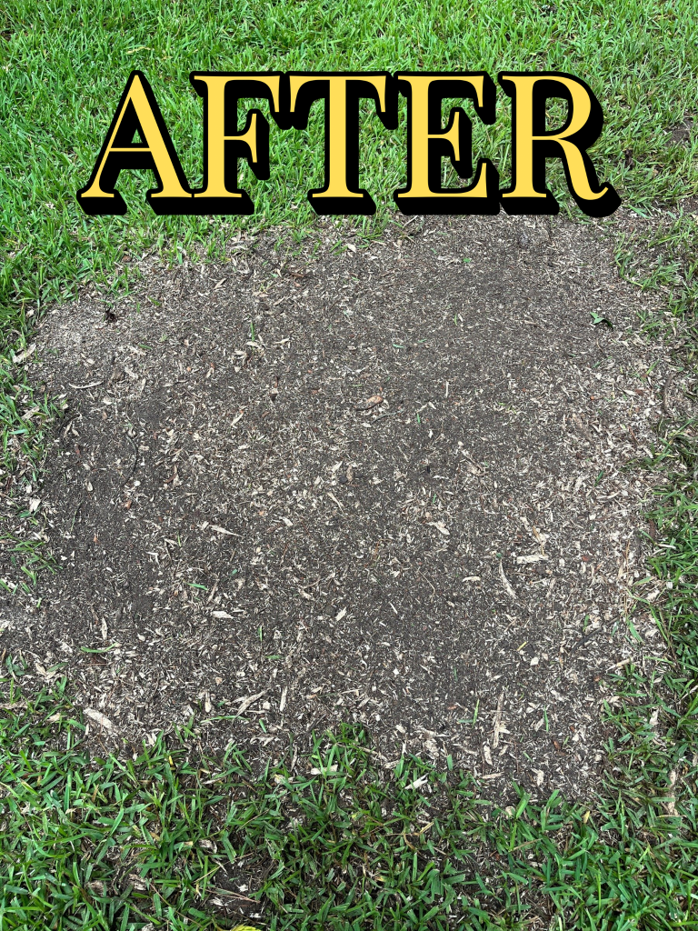 Stump grinding After 3