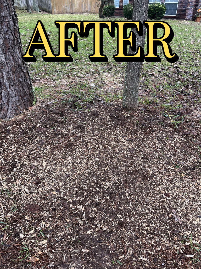 Stump grinding After 2