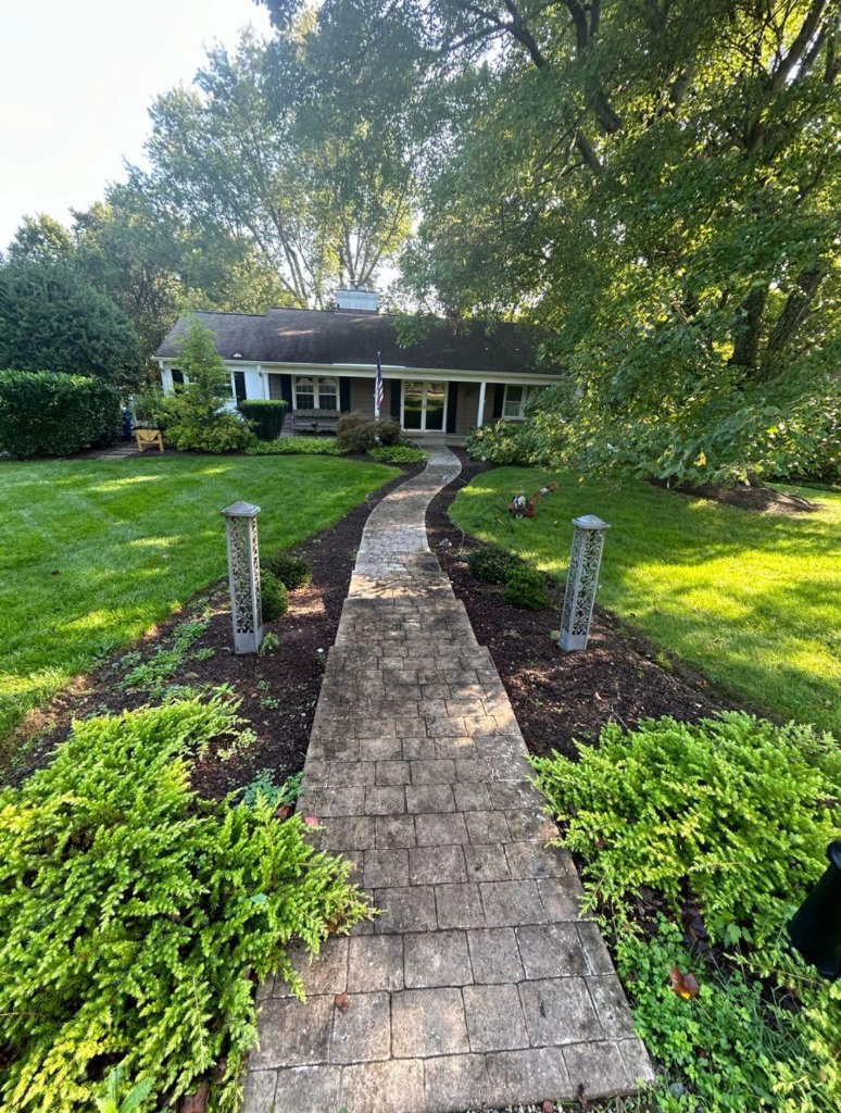Driveway before pressure washing in Northern Virginia