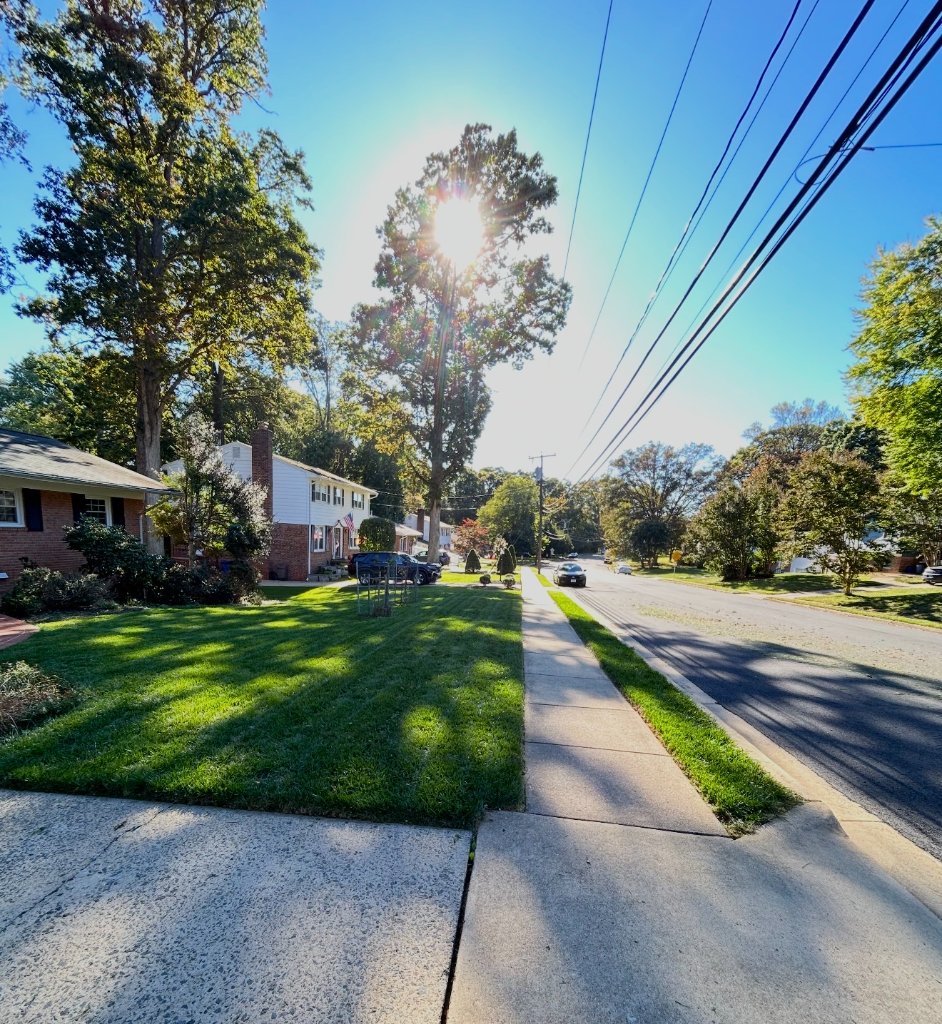 Professional lawn care services in Northern Virginia