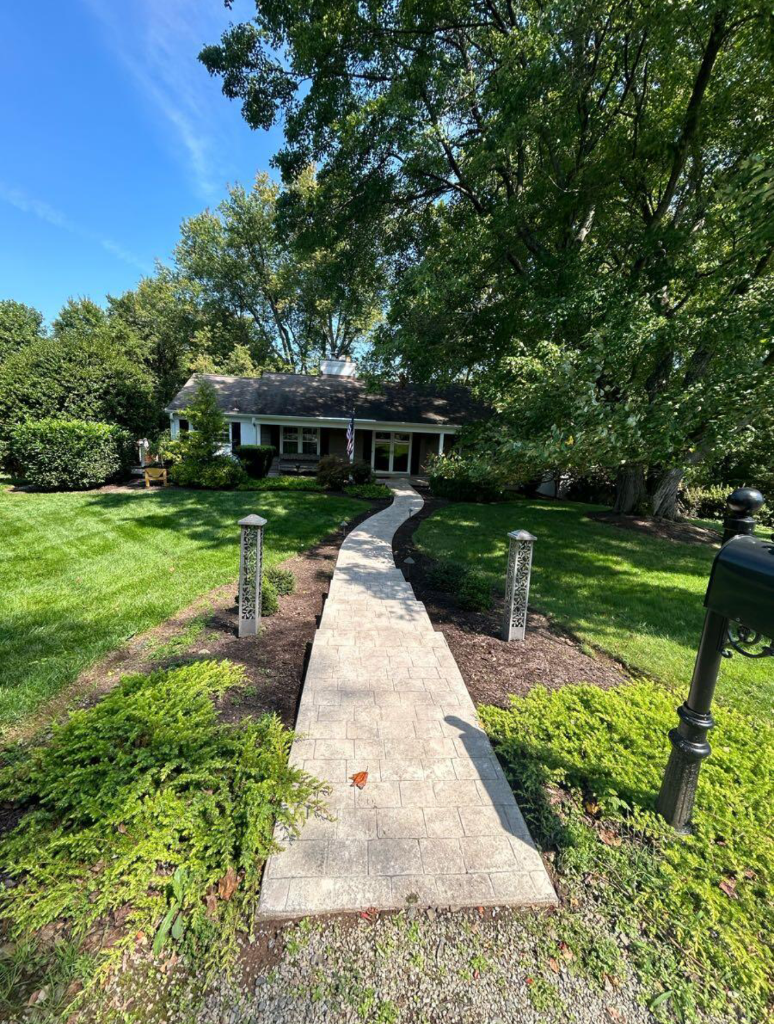 Driveway after pressure washing in Northern Virginia