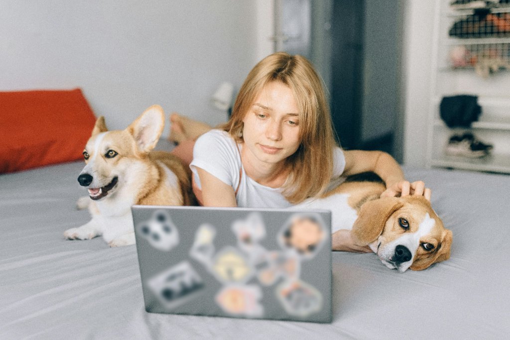 Woman with dogs on laptop