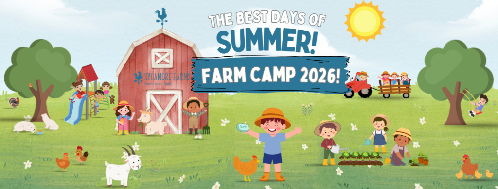 Sycamore Farms - Farm Camp 2026
