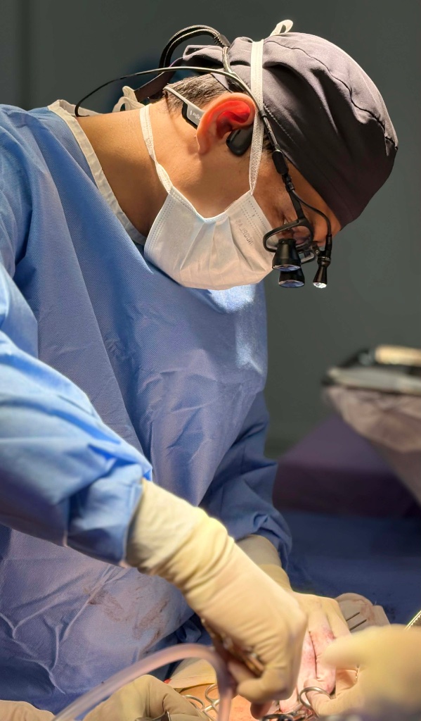 Surgery 2