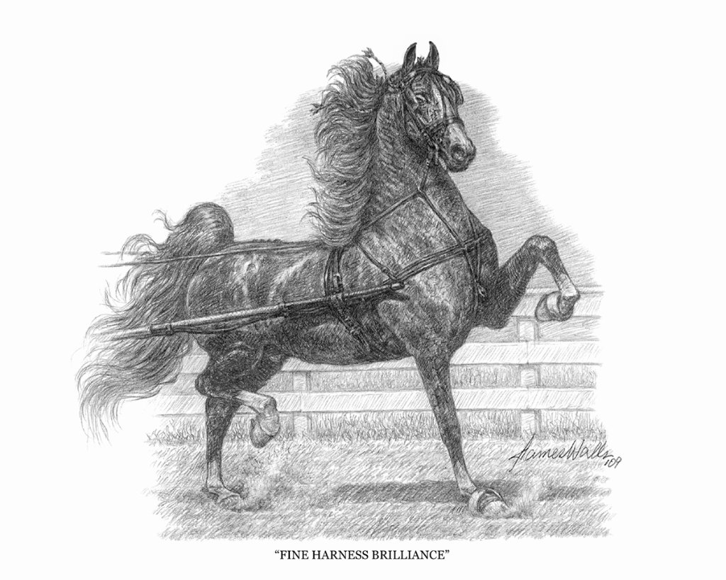 Fine Harness