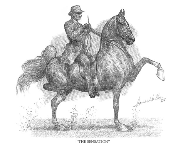 Five-Gaited
