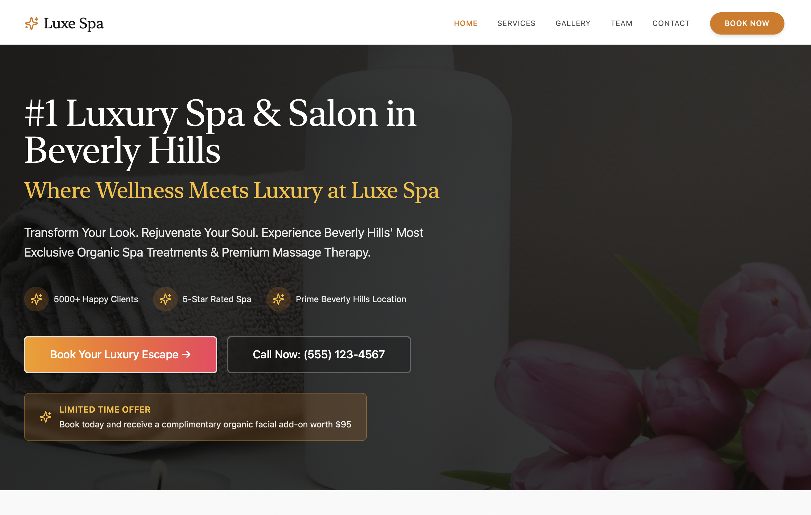 Luxury Spa and Salon  template preview