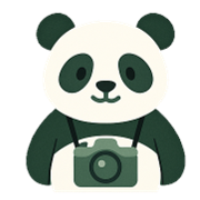 PandaBox logo