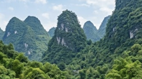 Guizhou