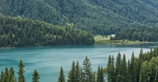 Xinjiang