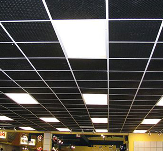 Acoustic Ceiling Tiles — Cineplex