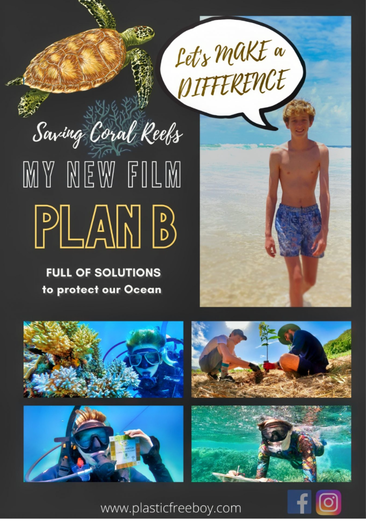 Plan B β Full of Solutions poster