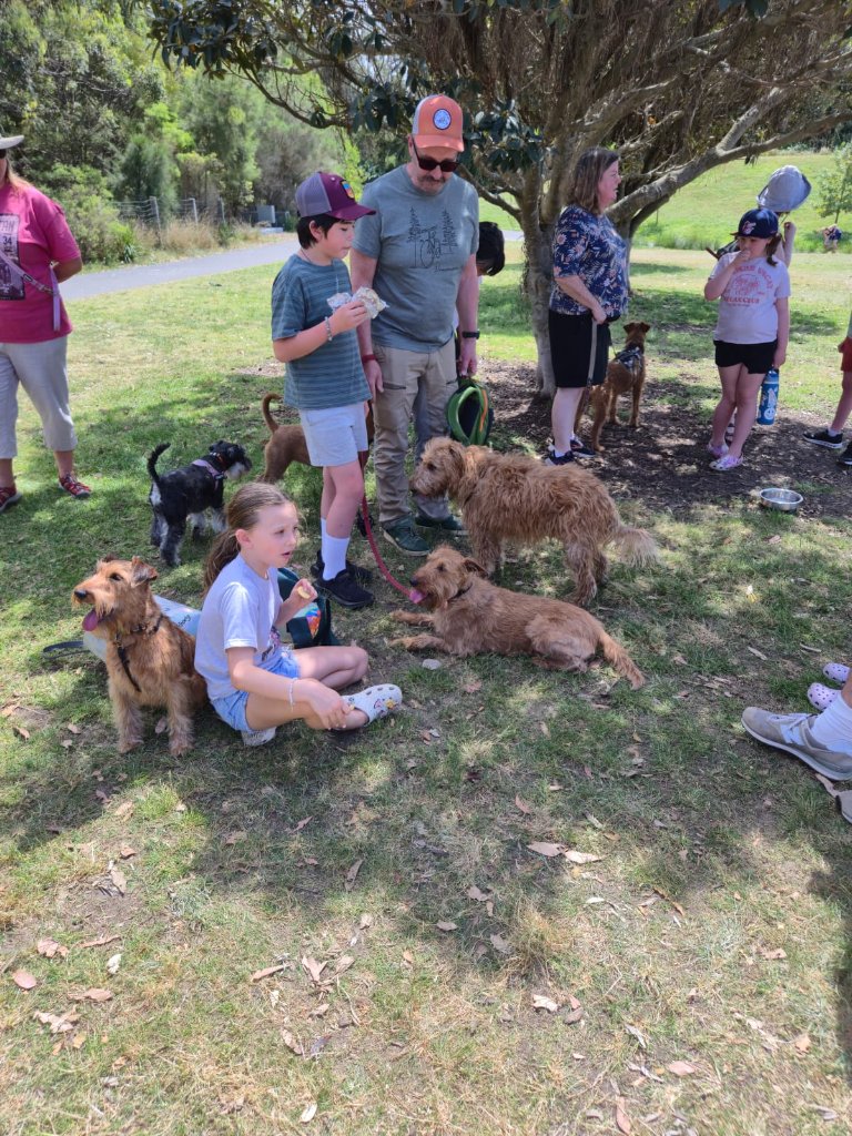 Braecrest Irish Terrier family