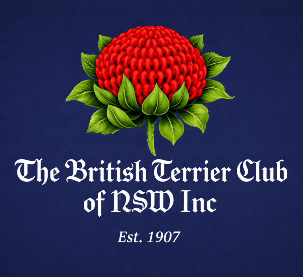 NSW British Terrier Club
