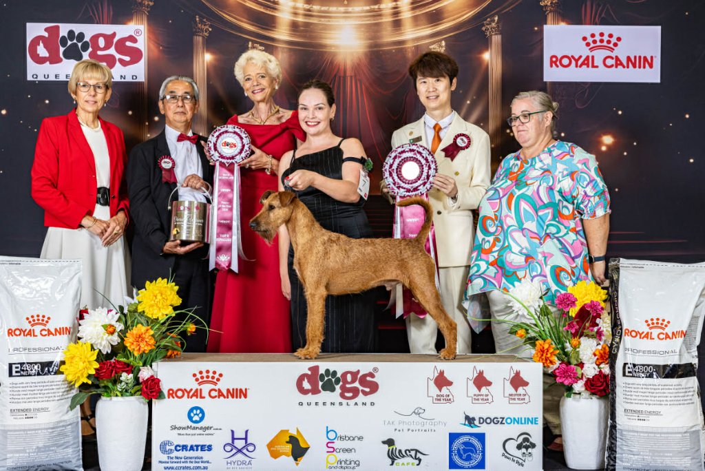 Dogs Queensland Pointscore Awards Night