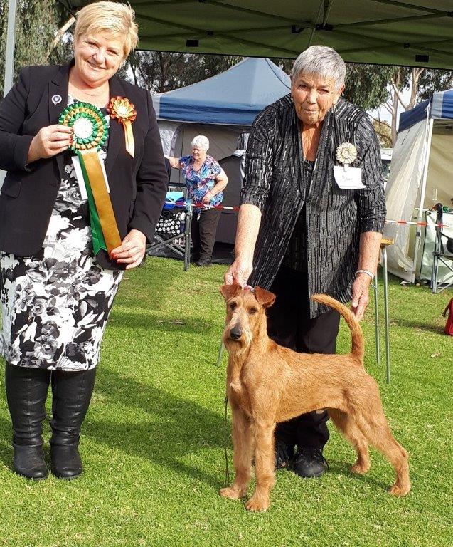 Pam with an Irish Terrier — Championship Show Win