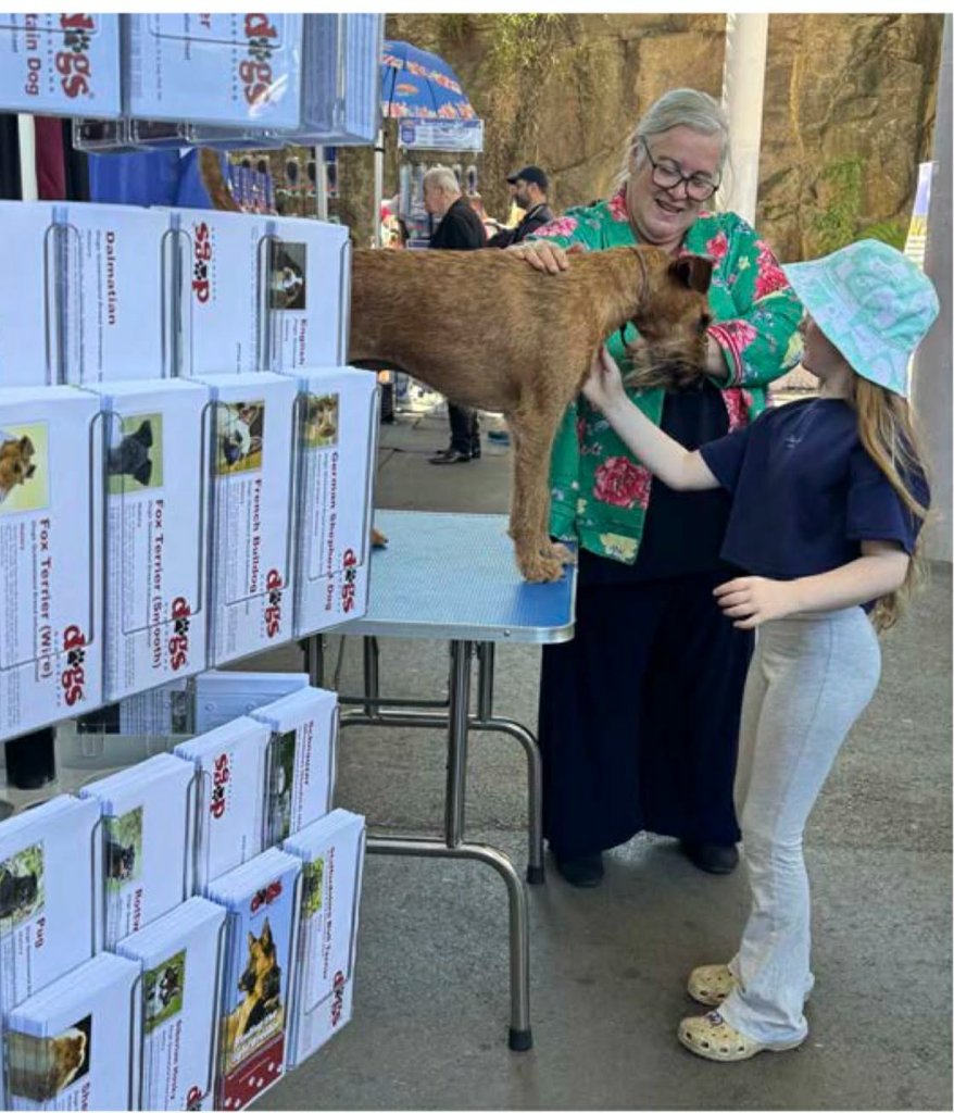 Braecrest Irish Terrier — meeting the public