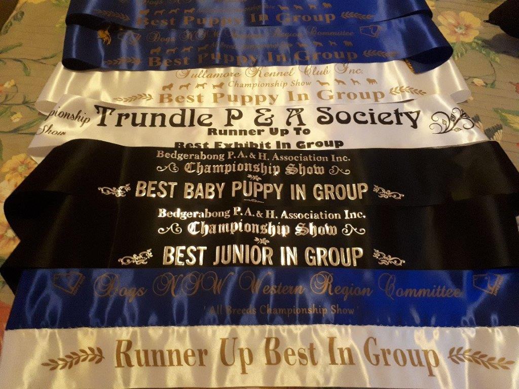 Championship Show Sashes