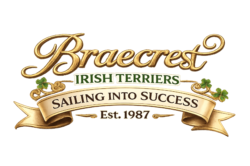 Braecrest Irish Terriers