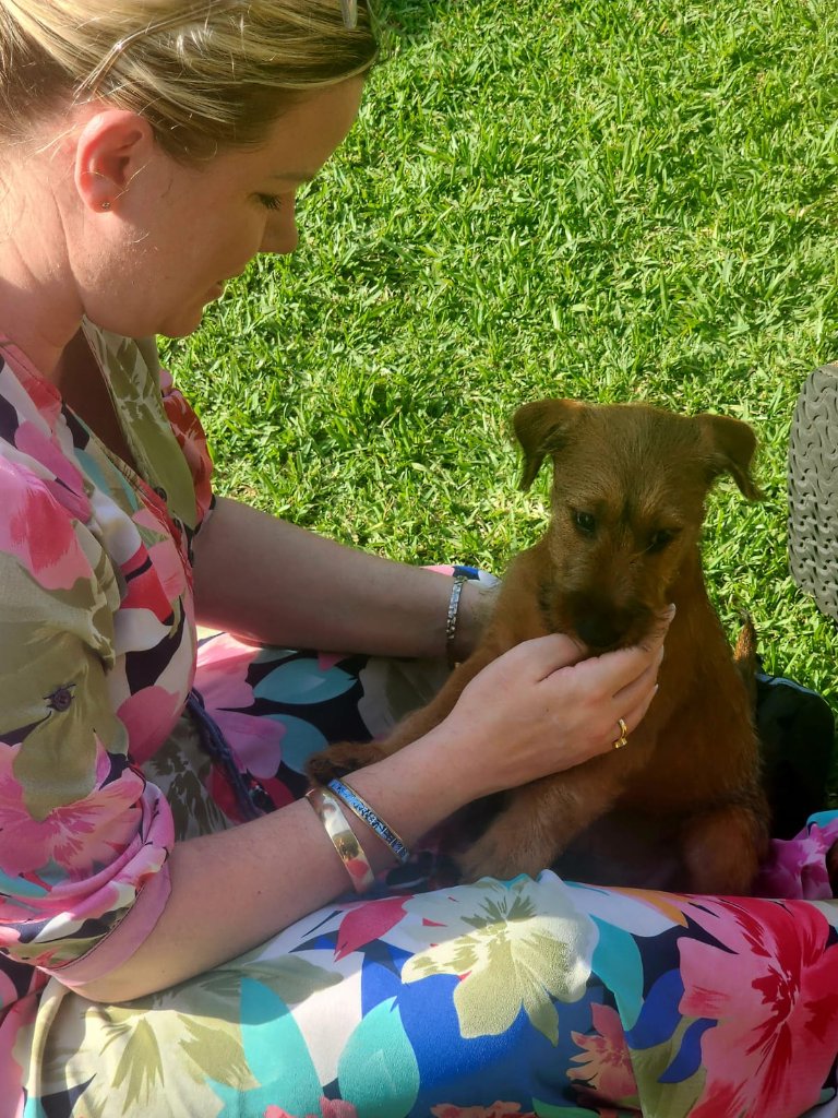 Braecrest puppy with new family