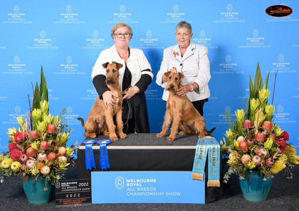 Melbourne Royal All Breeds Championship Show 2022