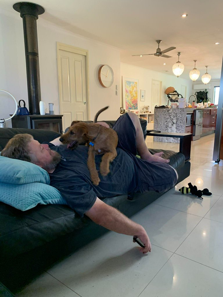 Braecrest Irish Terrier — part of the family