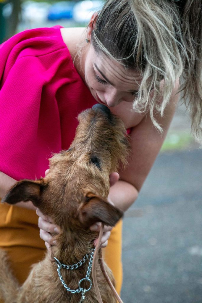 A Braecrest puppy with its new owner