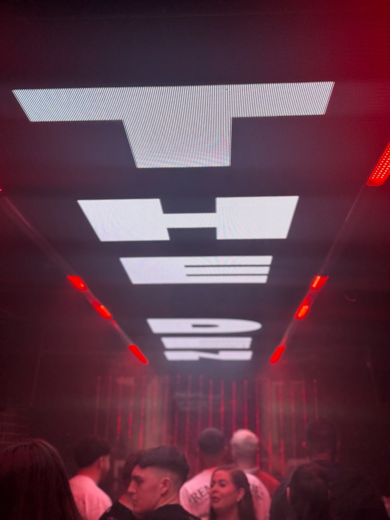 DJ performing at The Den