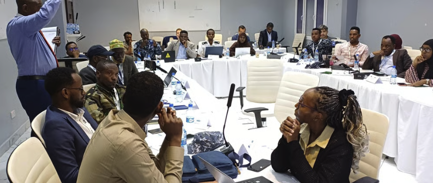 IMO Maritime Security & Red Sea Programme Workshop — Somalia